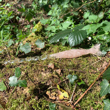 Load image into Gallery viewer, A stunning handcrafted Mertail magic wand made with shimmering rose quartz chips, showcasing a blend of pink hues. The wand has a gracefully tapered shaft that sparkles in light, showcasing its intricate craftsmanship. Perfect for fantasy collectors, this wand embodies elegance and enchantment, making it a prized addition to any magical assortment.