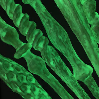 Glow in the dark wand close up